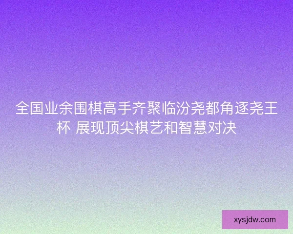全国业余围棋高手齐聚临汾尧都角逐尧王杯 展现顶尖棋艺和智慧对决